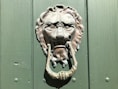 a door knockle with a lion's head on it