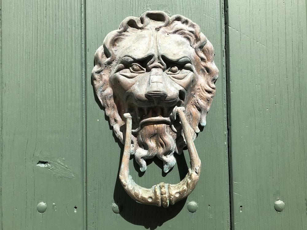 a door knockle with a lion's head on it