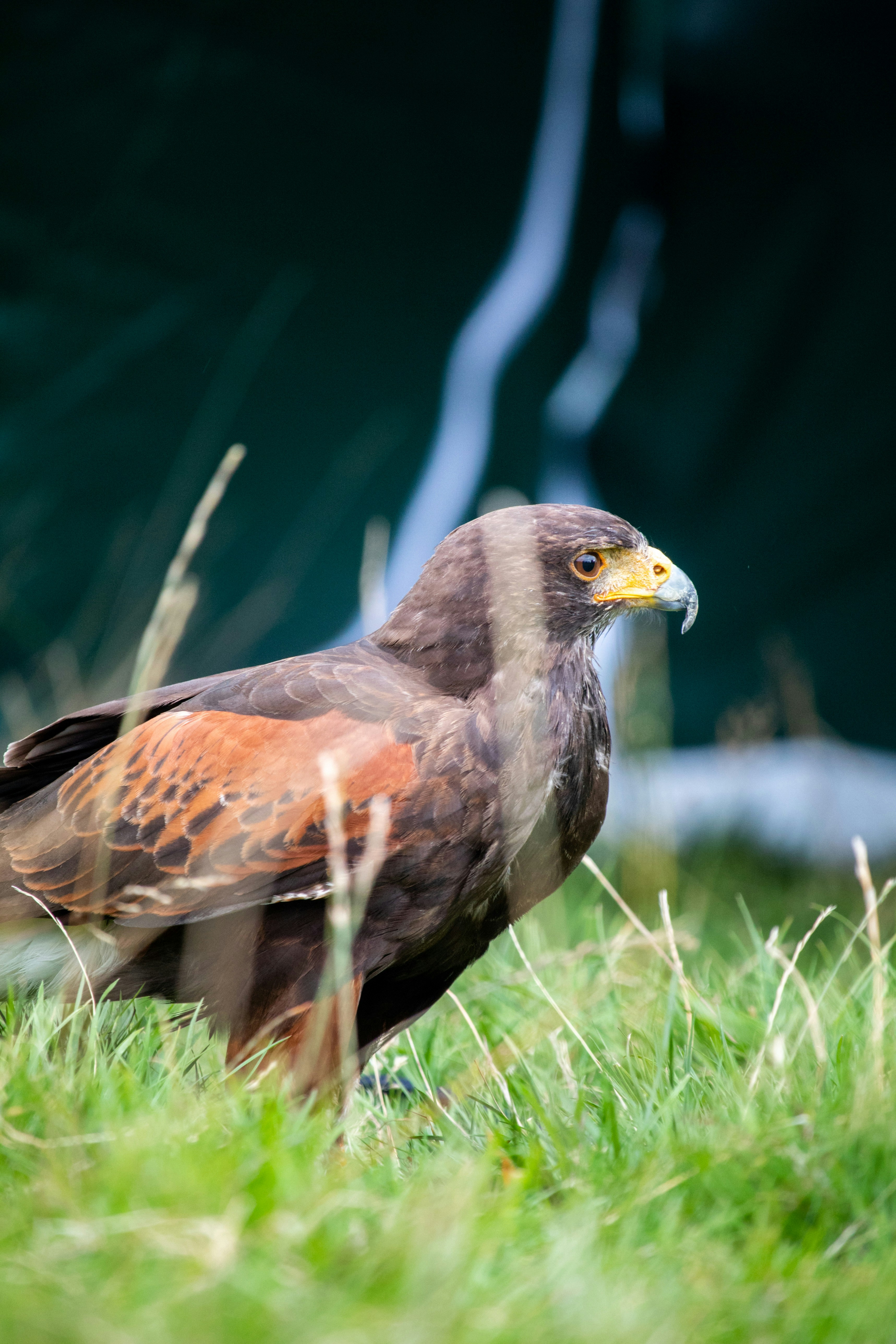 Photo by ewanphotography