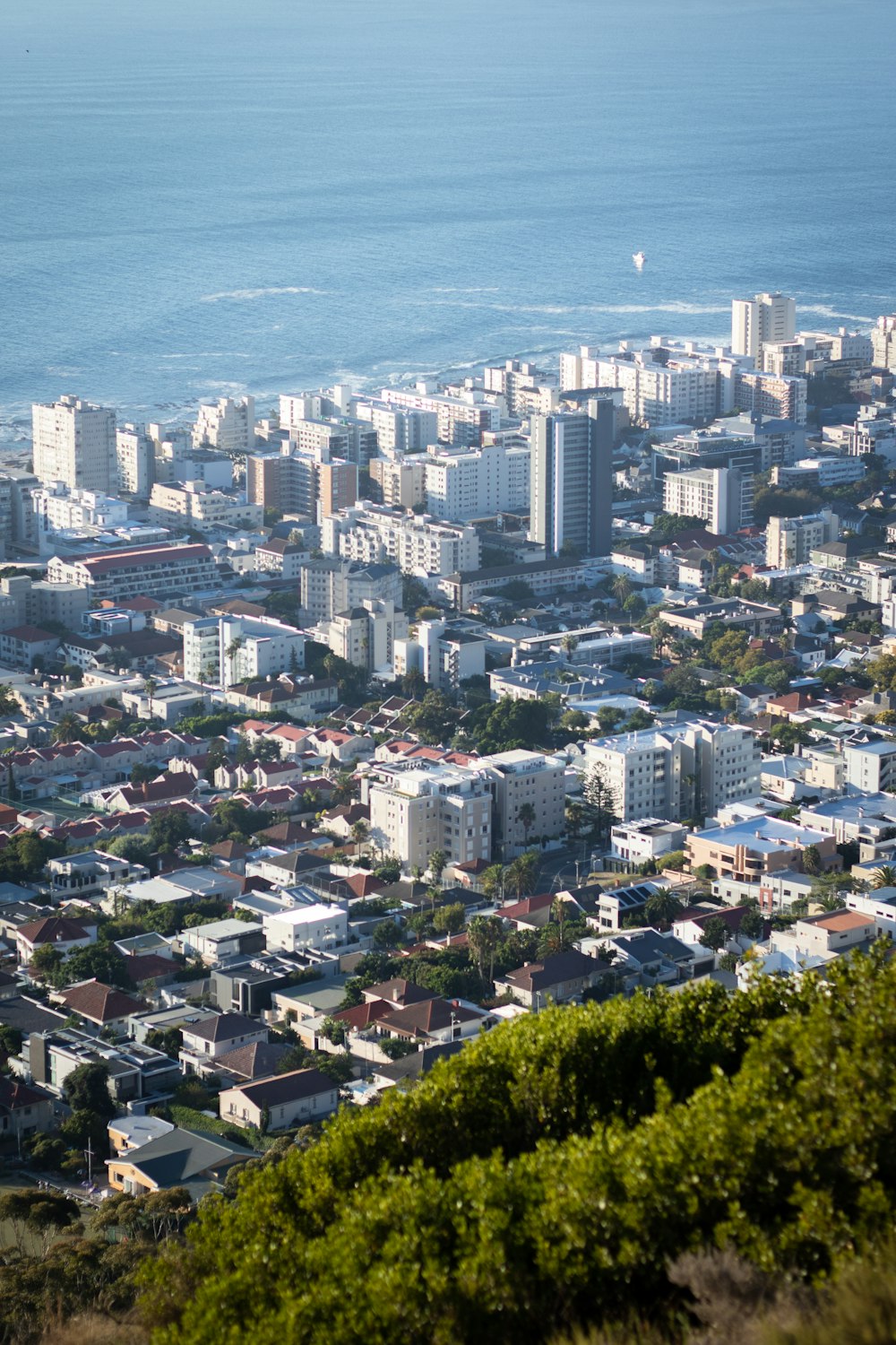 a view of a city and the ocean from a hill