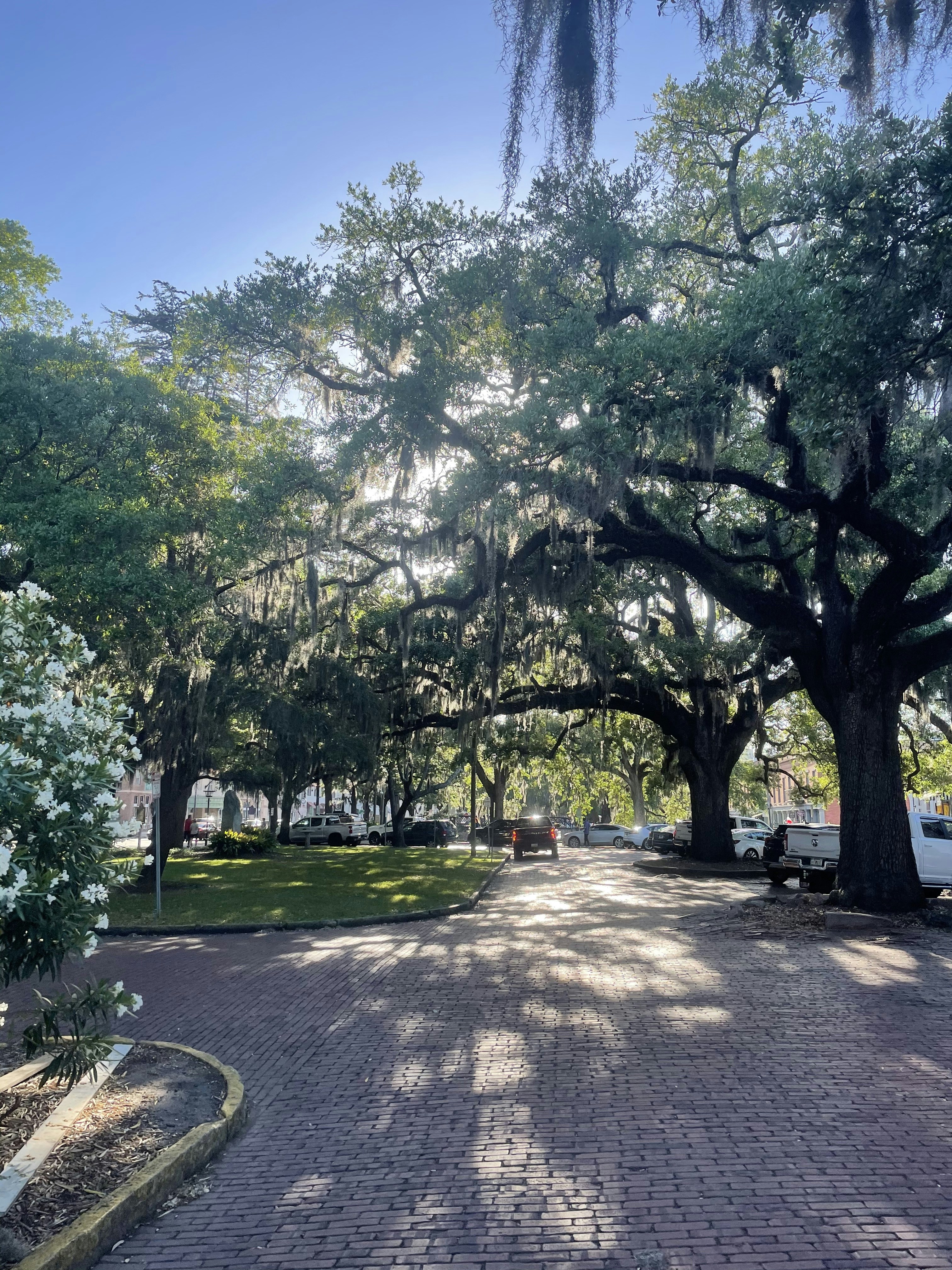 Wine Pairings for Spring Cuisine