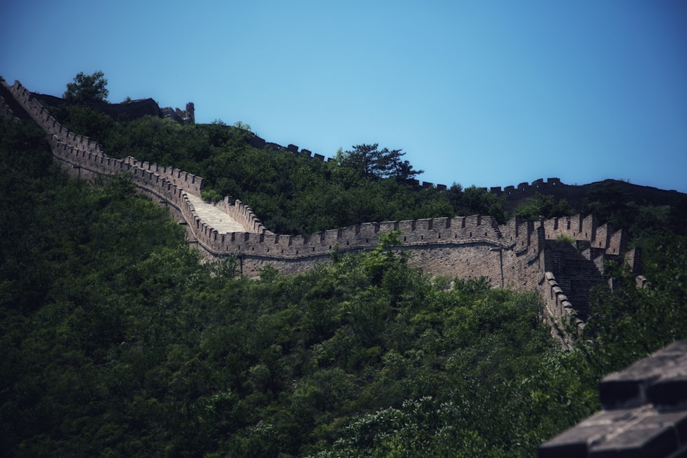 Great wall of China, China photo – Free China Image on Unsplash
