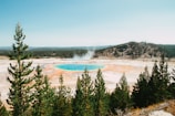 A vibrant geological hot spring surrounded by lush green trees and distant hills under a clear sky. The hot spring features vivid blue and orange hues, with steam rising from its surface, creating a contrasting natural spectacle.