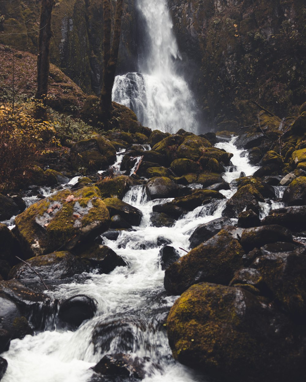 a waterfall in the middle of a forest