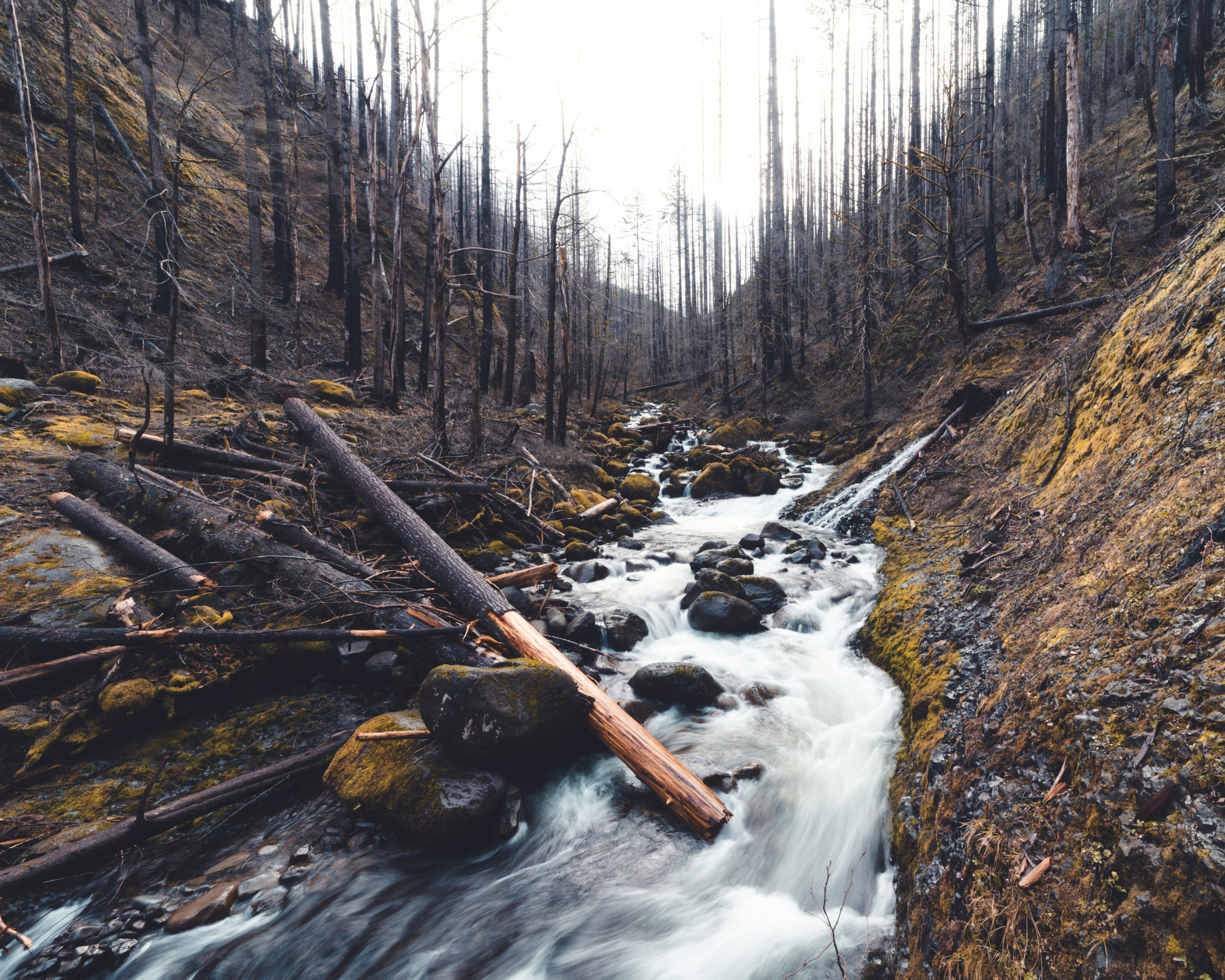 The Complete Guide to Water Storage for Long-Term Survival: How Much You Really Need