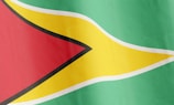 A flag featuring bold geometric shapes and vibrant colors. The design includes a green field with a golden arrow-shaped stripe bordered in white, pointing toward a red equilateral triangle at the hoist, with black edges.
