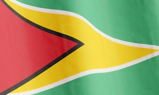 A flag featuring bold geometric shapes and vibrant colors. The design includes a green field with a golden arrow-shaped stripe bordered in white, pointing toward a red equilateral triangle at the hoist, with black edges.