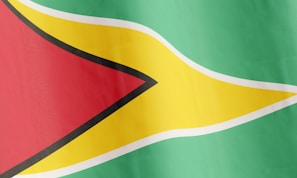 A flag featuring bold geometric shapes and vibrant colors. The design includes a green field with a golden arrow-shaped stripe bordered in white, pointing toward a red equilateral triangle at the hoist, with black edges.