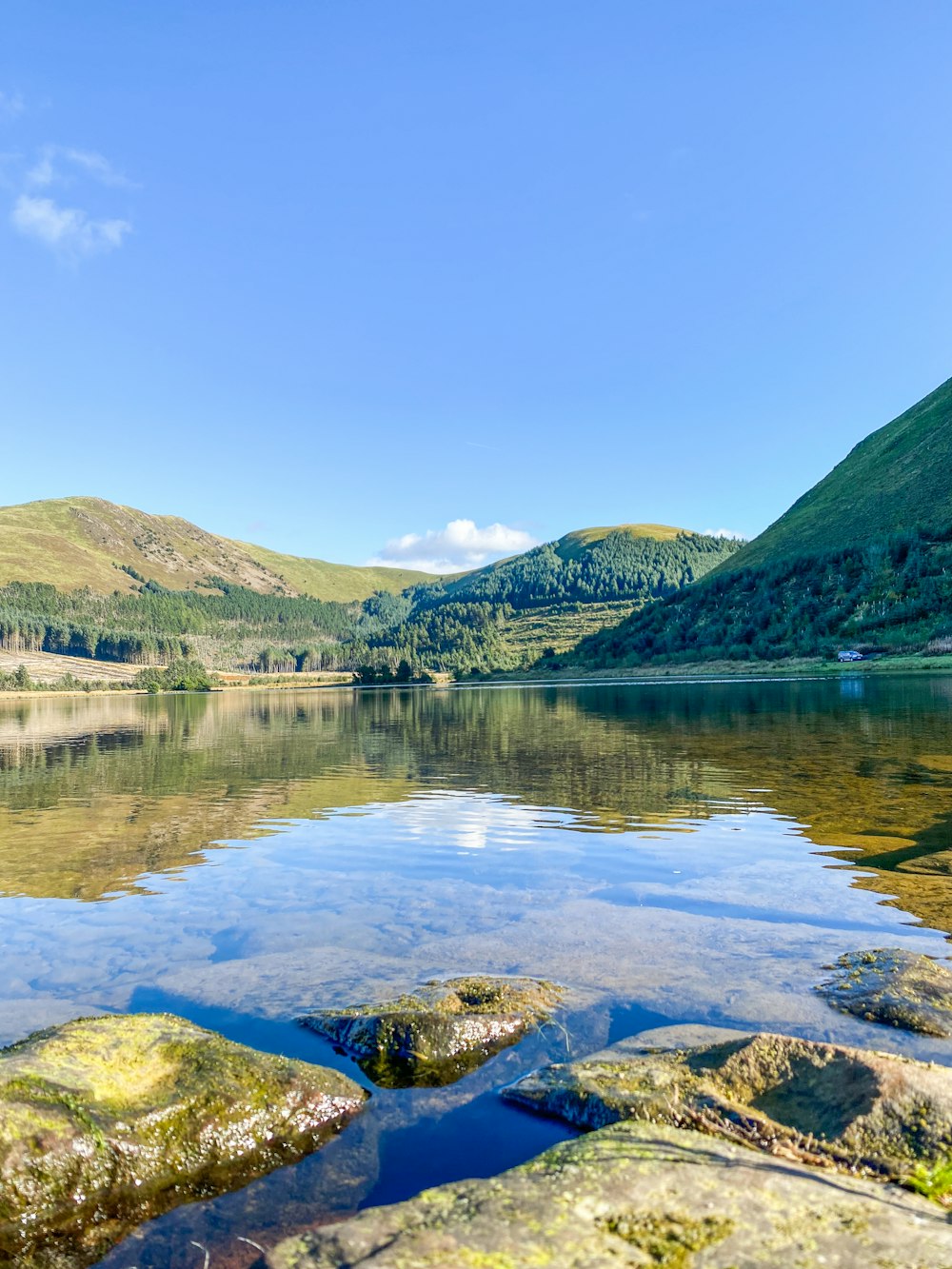 a body of water surrounded by a lush green hillside