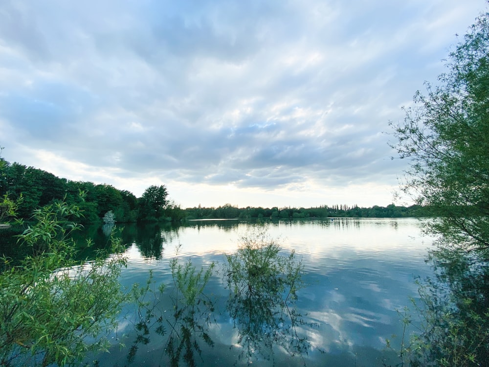 a body of water surrounded by trees and clouds