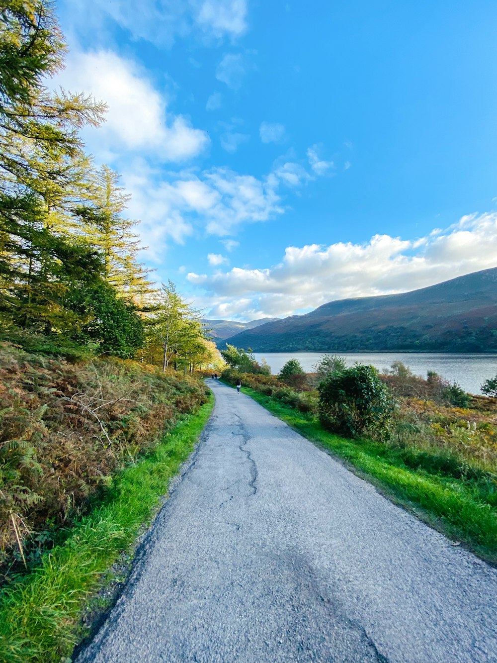 a paved road near a body of water