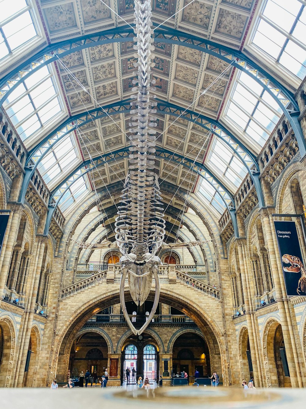 a large fish skeleton hanging from the ceiling of a building