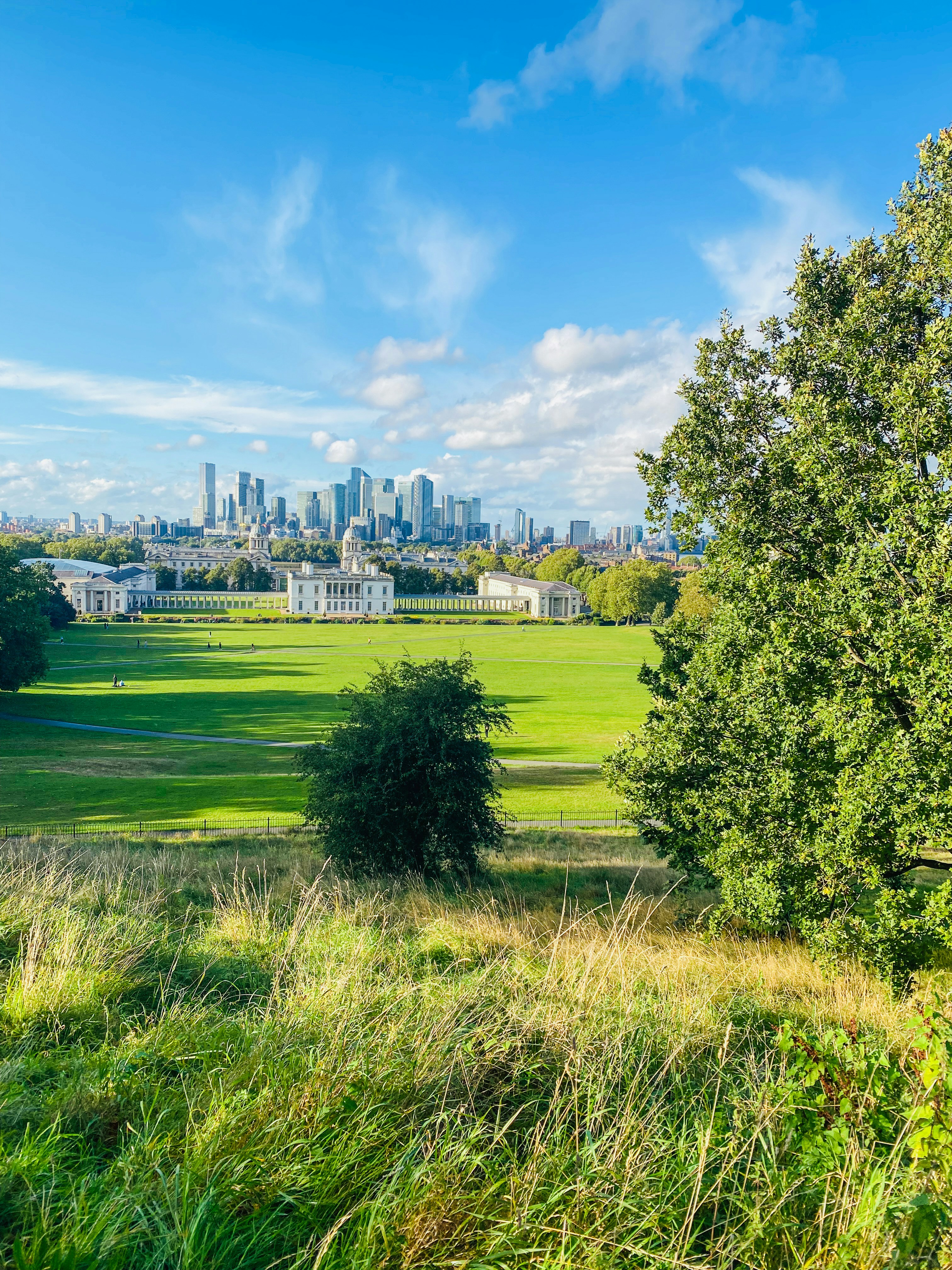 a view of a city from a distance