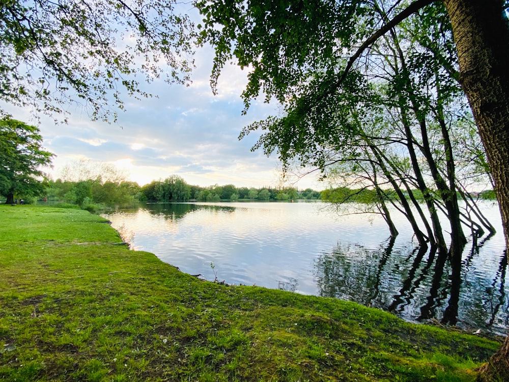 a body of water sitting next to a lush green field