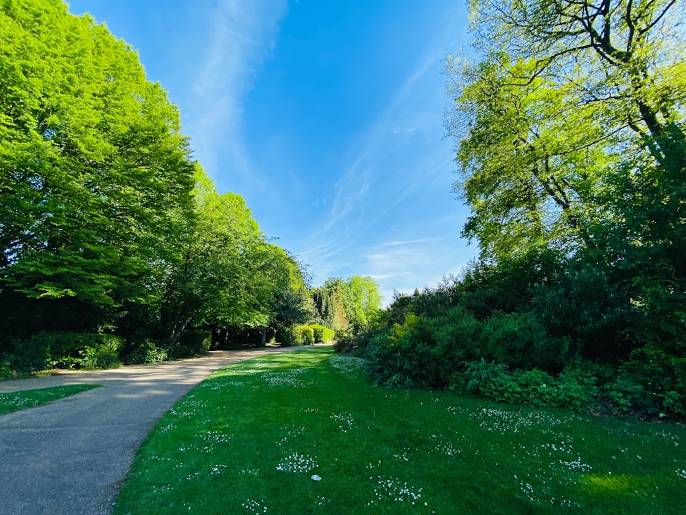 a paved road surrounded by trees and grass