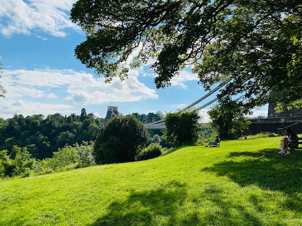 a person sitting on a bench on a grassy hill