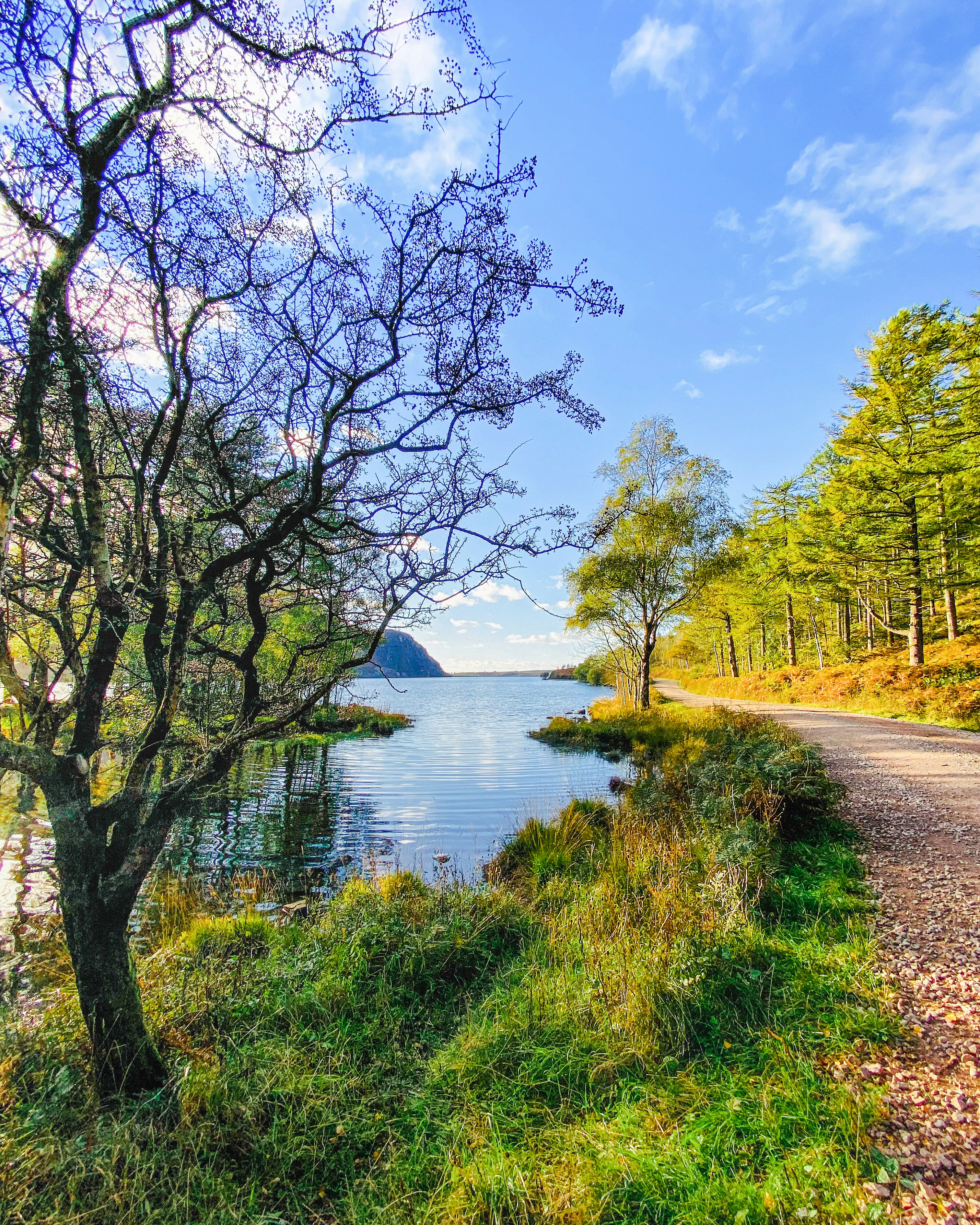 a road that is next to a body of water