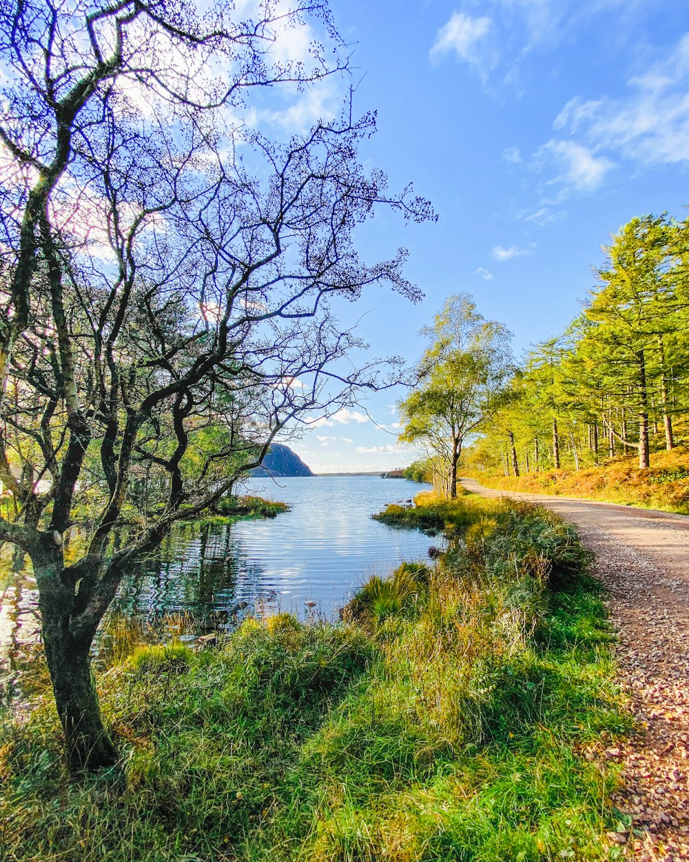 a road that is next to a body of water