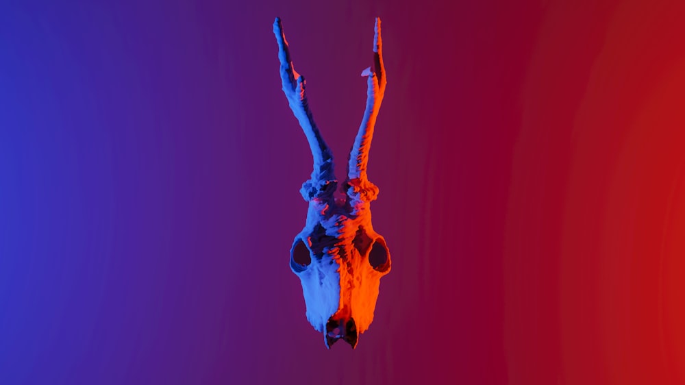 a colorful photo of a human skull hanging upside down