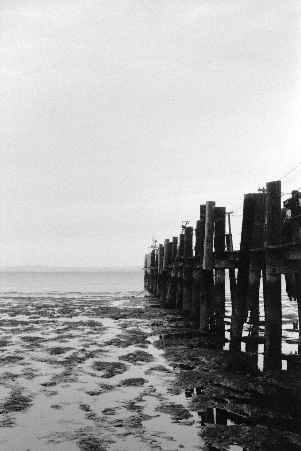 Una foto en blanco y negro de un muelle