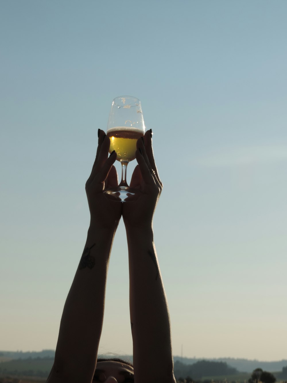a person holding a wine glass up to the sky