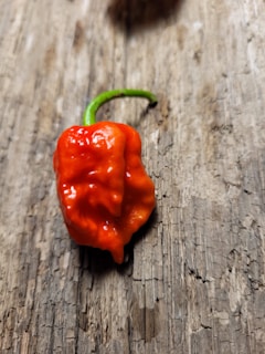 A vibrant red chili pepper with a bumpy texture rests on a rustic wooden surface. The pepper has a shiny appearance and a bright green stem that curls slightly.