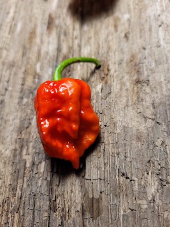 A vibrant red chili pepper with a bumpy texture rests on a rustic wooden surface. The pepper has a shiny appearance and a bright green stem that curls slightly.