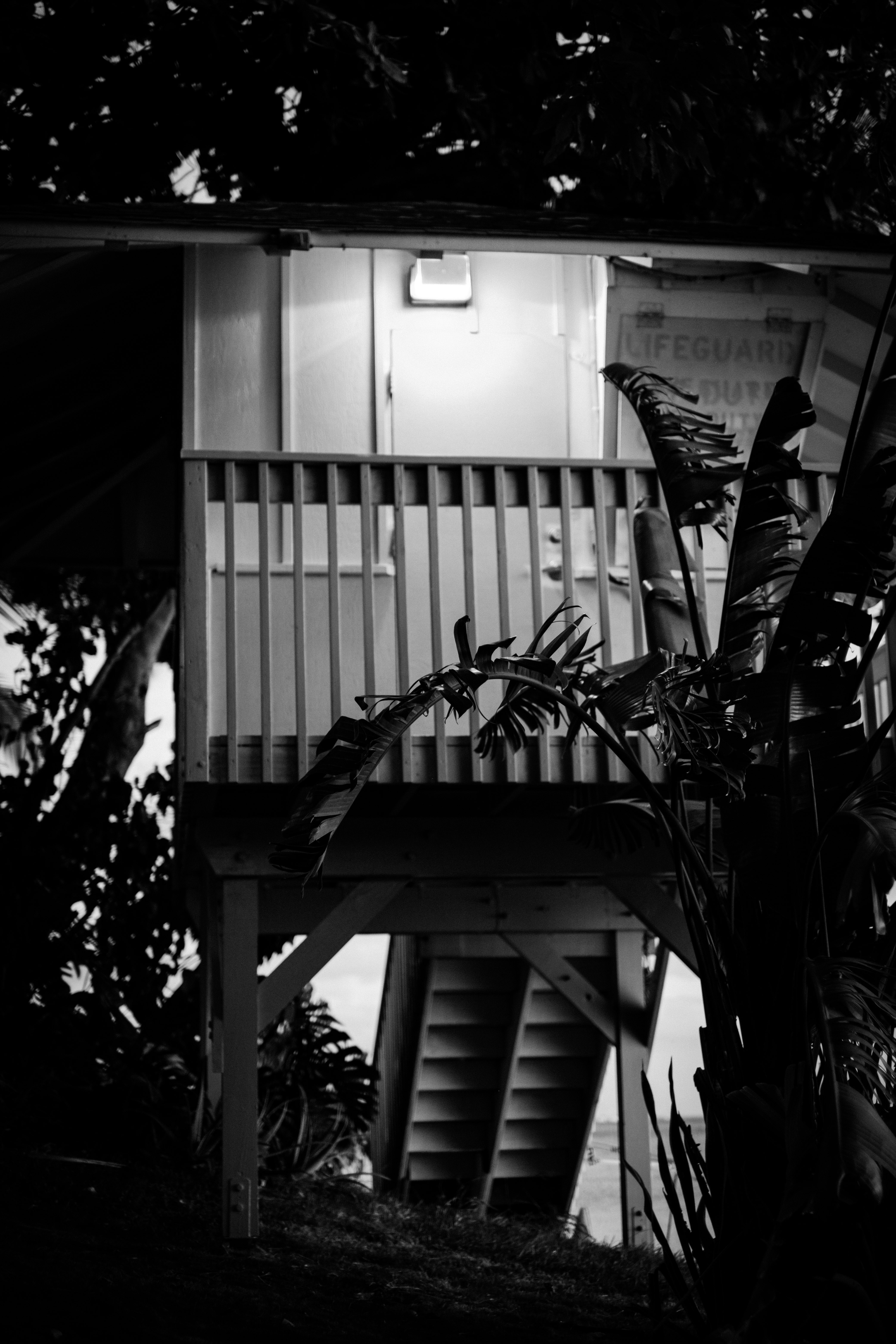 Photo by gummibearman