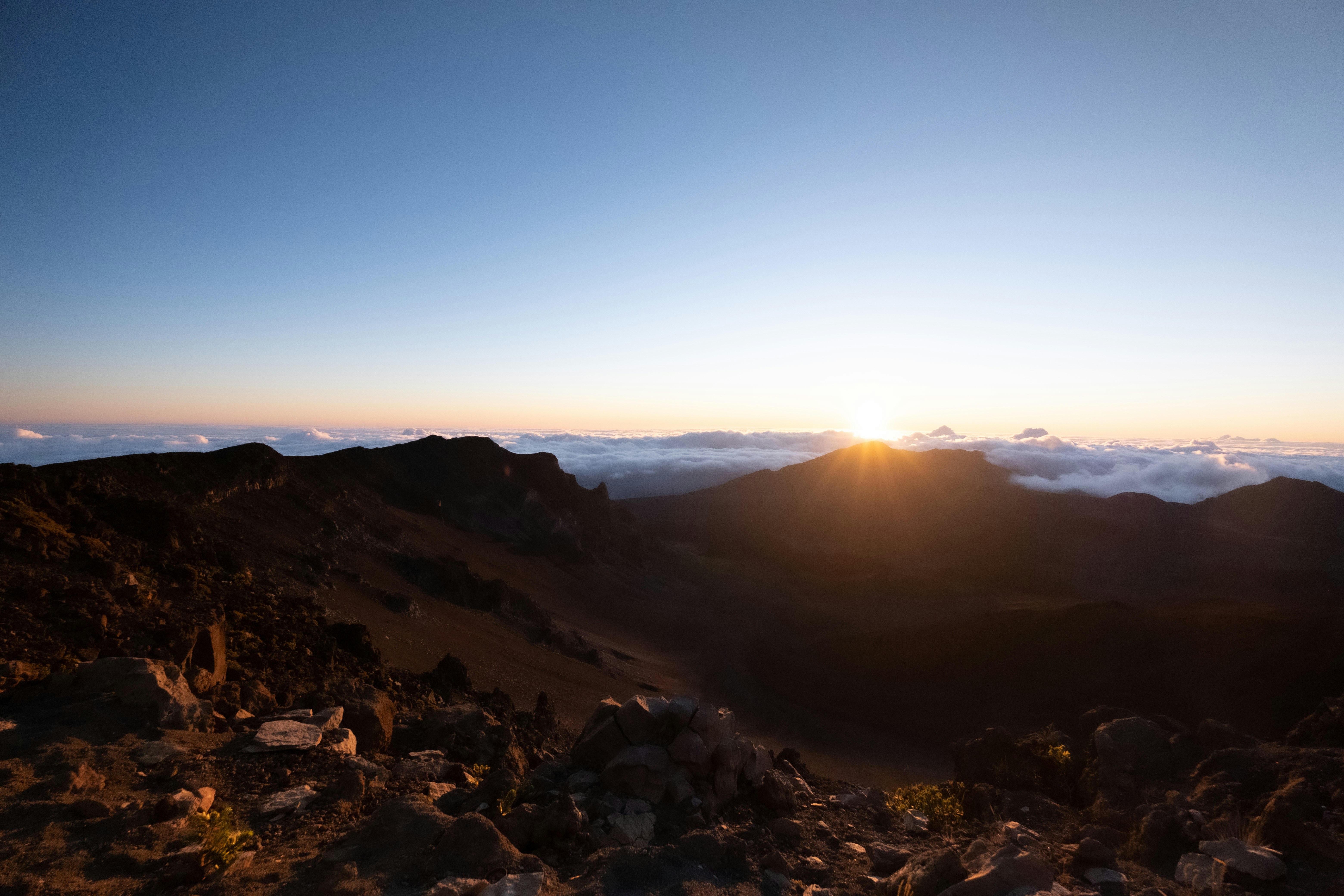 Photo by gummibearman