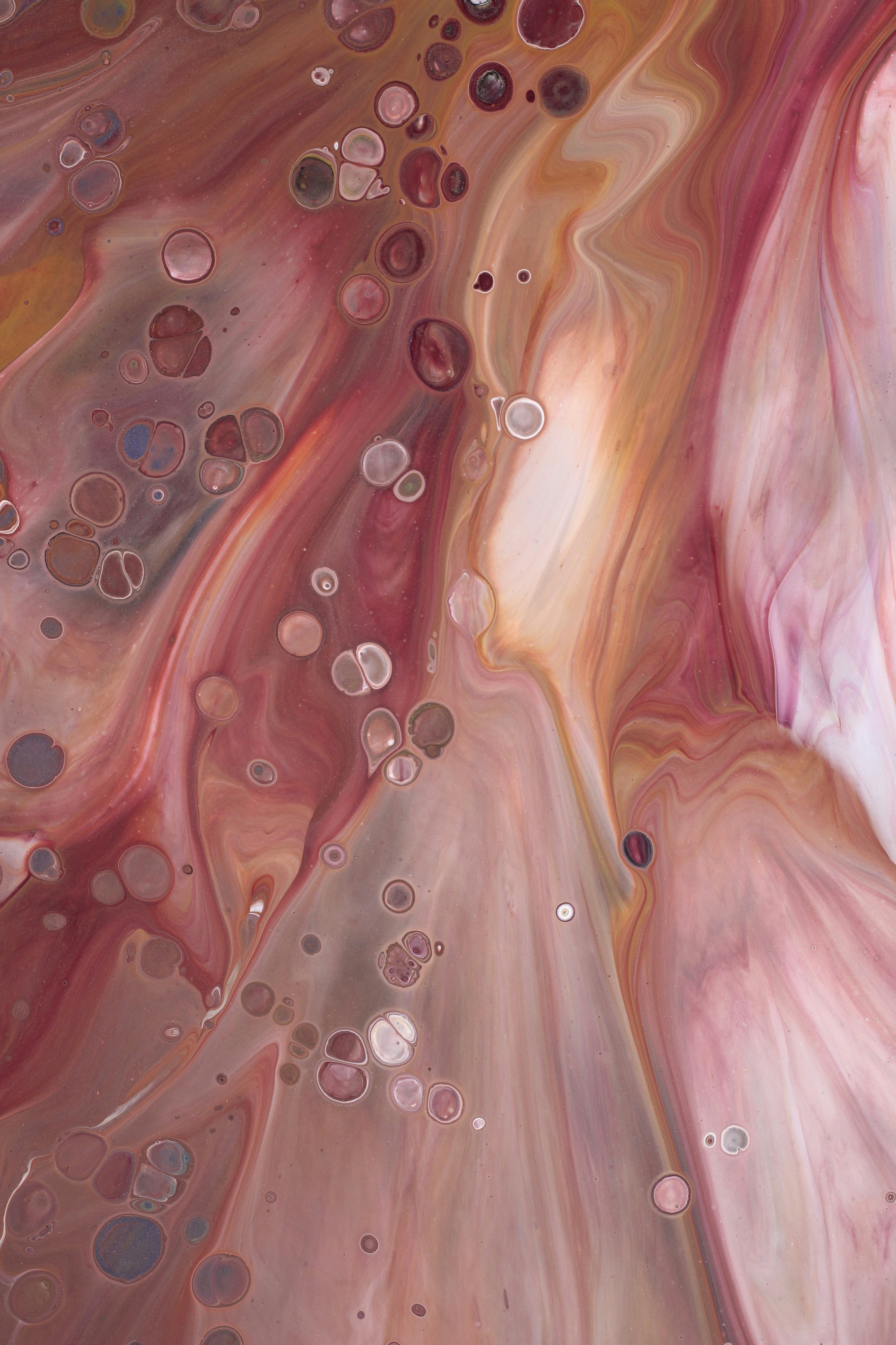 Photo by susan_wilkinson