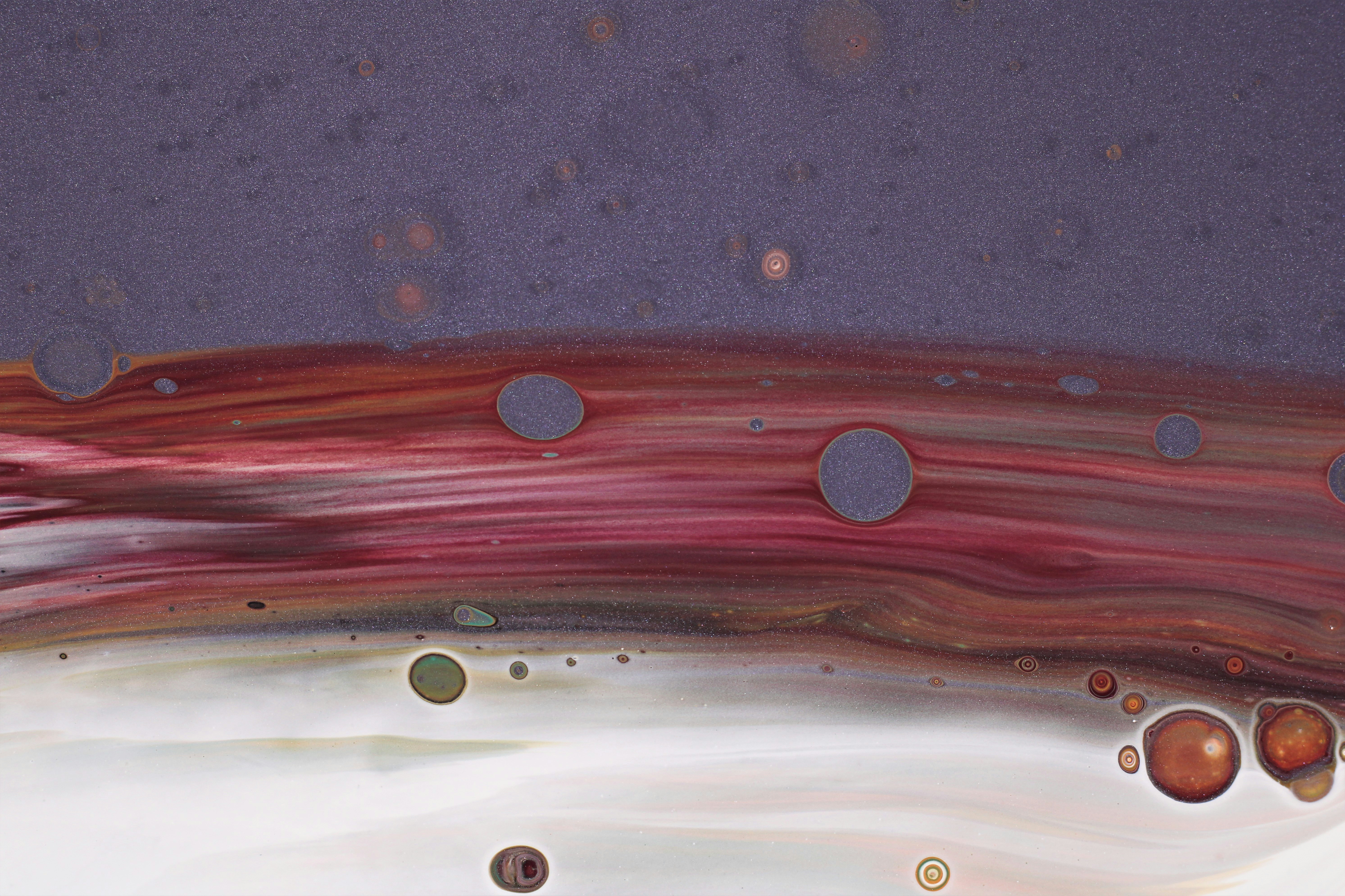 Photo by susan_wilkinson