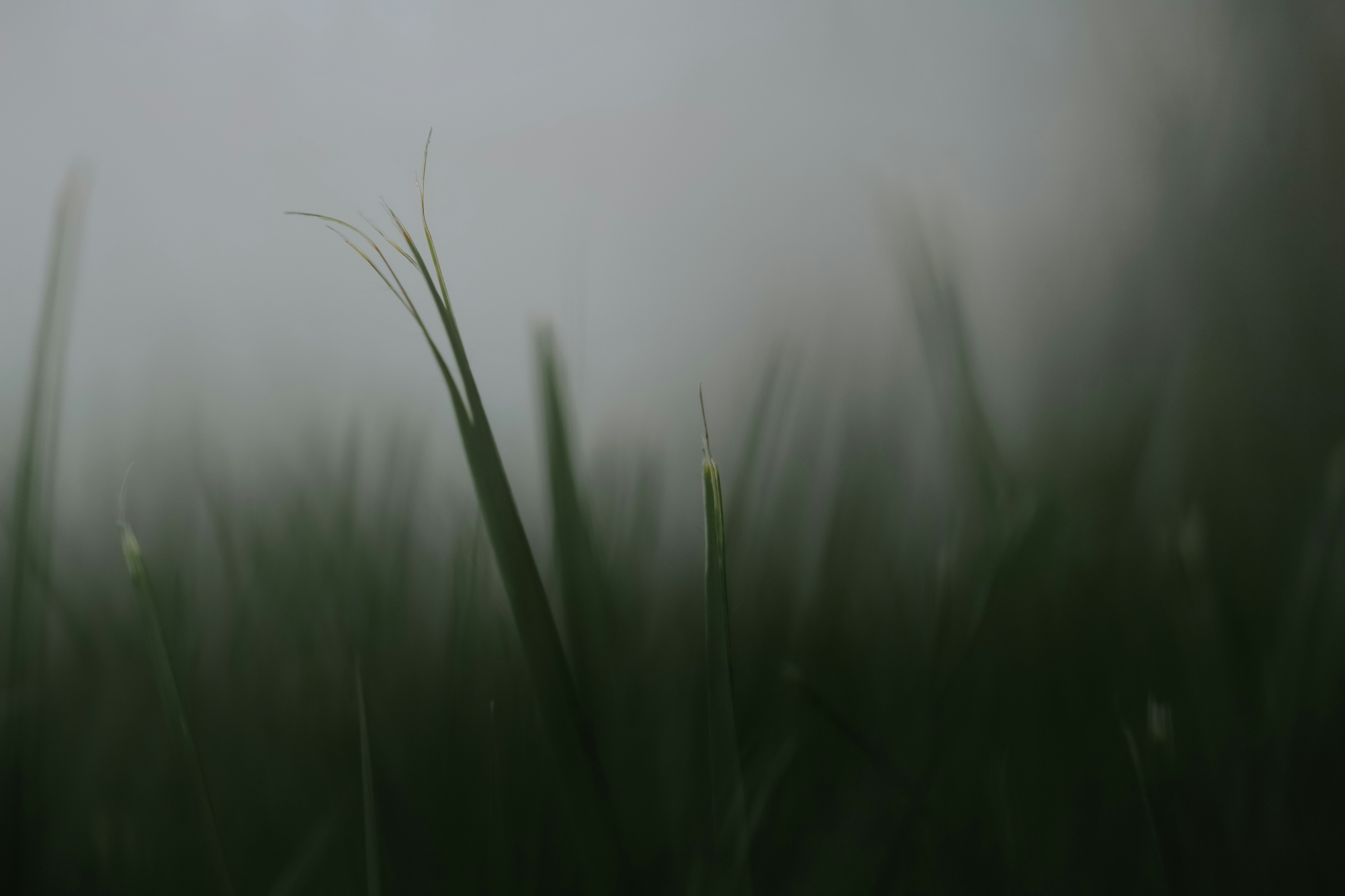 Photo by emmanuelphaeton