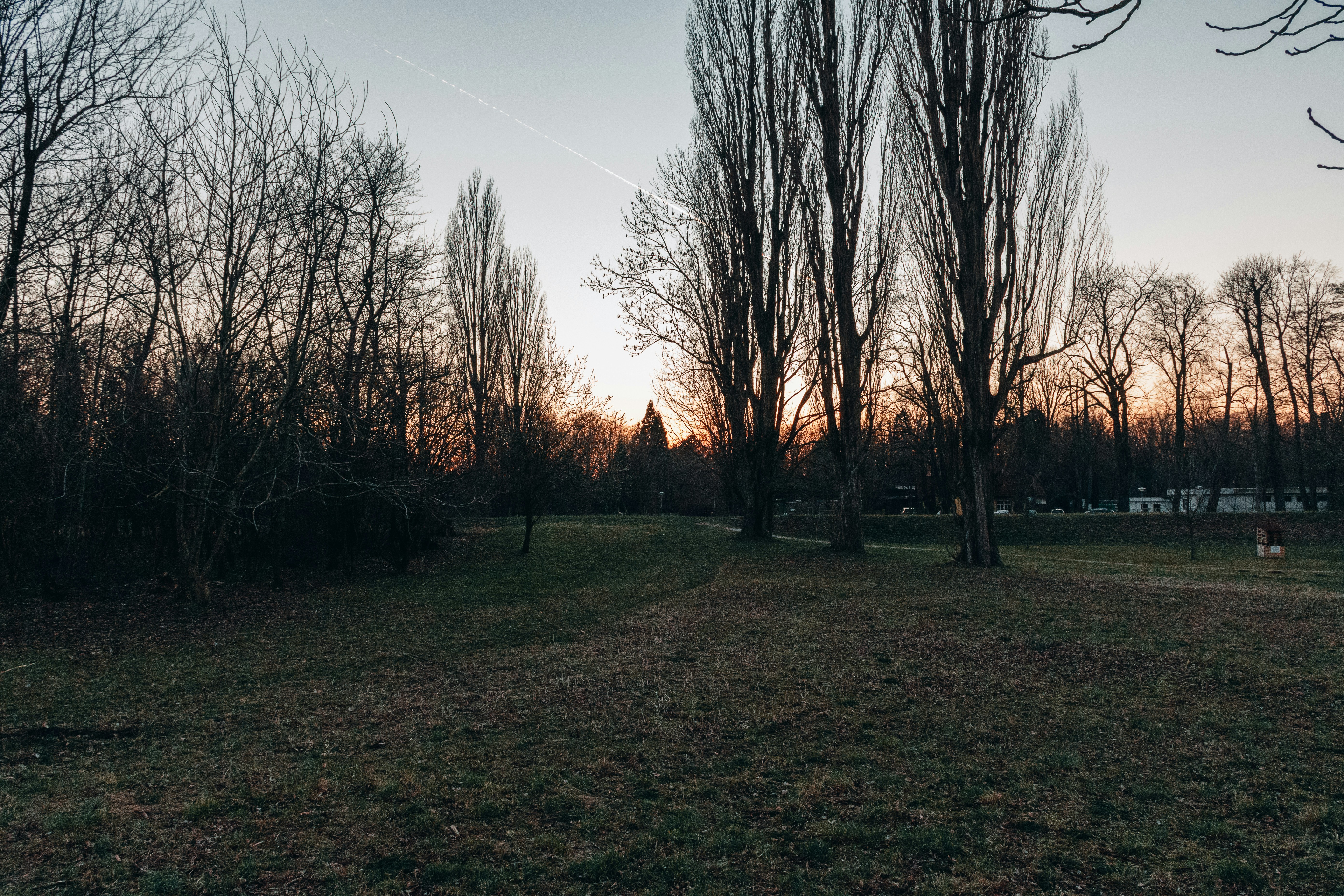 Photo by denisbayer
