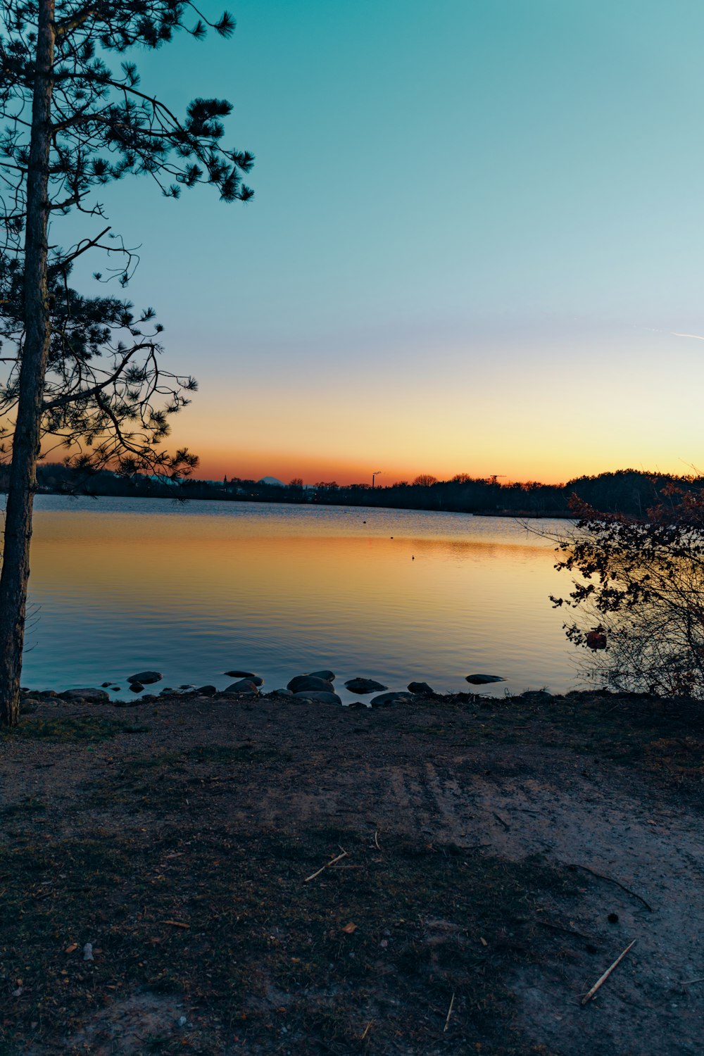 a lake with a tree in the foreground and a sunset in the background