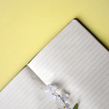 Flat lay of the journal open with inspiring prompts surrounded by pink flowers