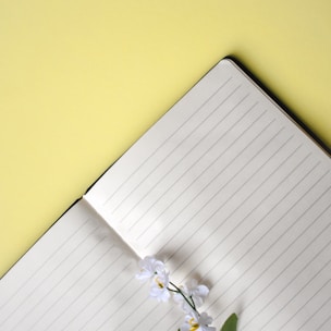 Soft morning light illuminating a blank notebook and pen, symbolizing fresh ideas on hold.