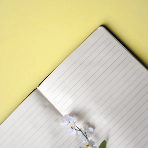 Flat lay of the journal open with inspiring prompts surrounded by pink flowers