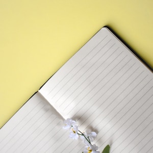 Write With Confidence