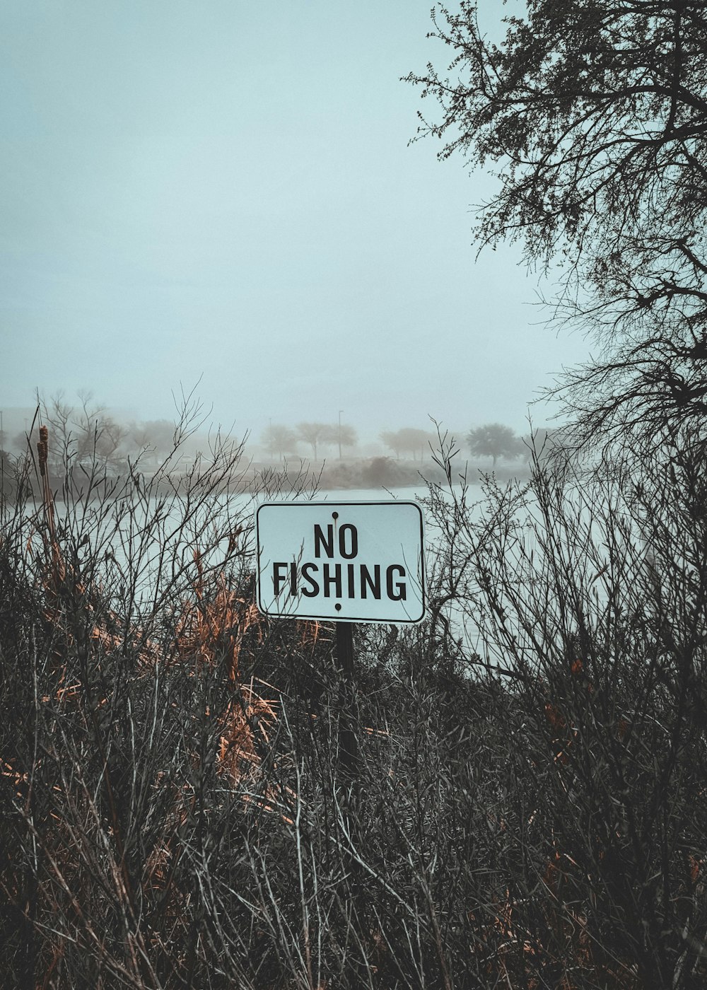 a sign that says no fishing in front of a body of water