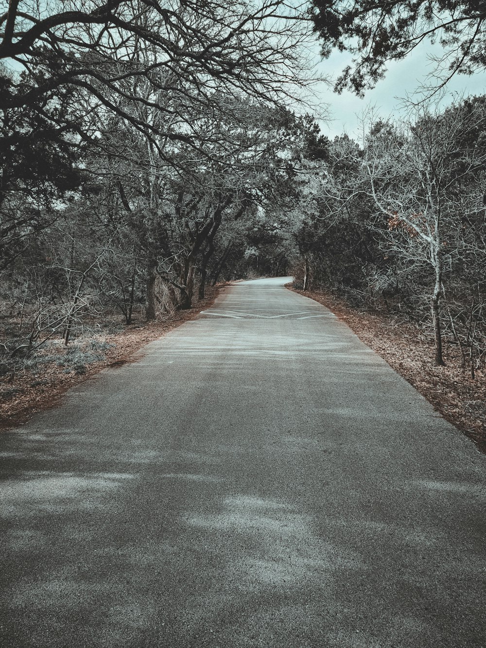 an empty road in the middle of a wooded area