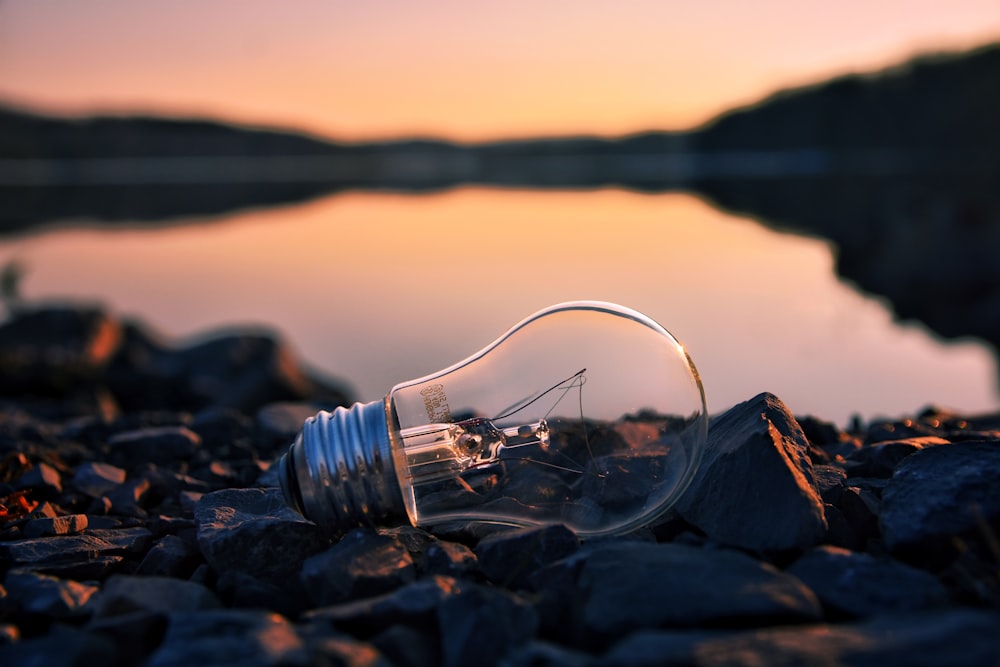 a light bulb sitting on top of a pile of rocks