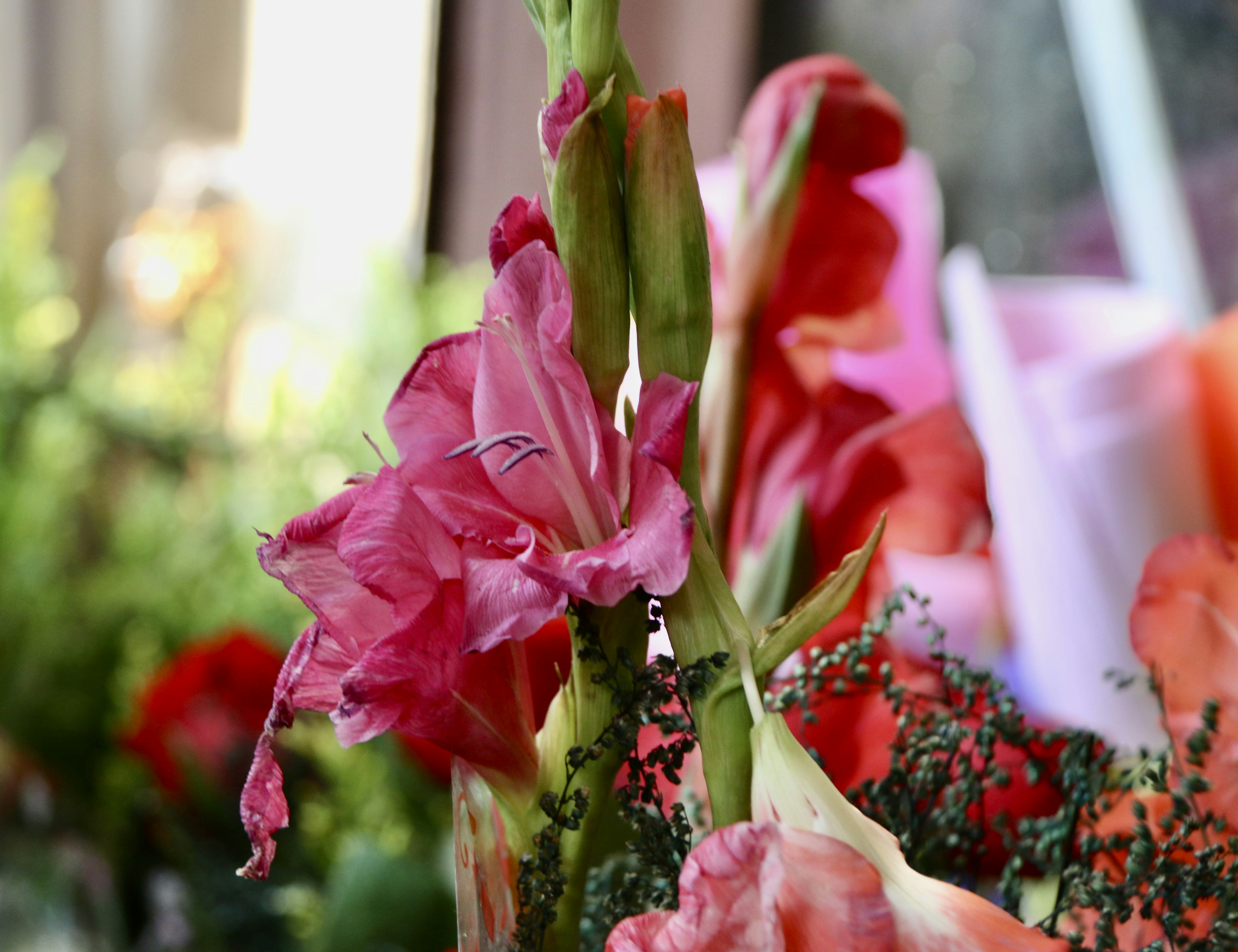 Photo by bossx918spy