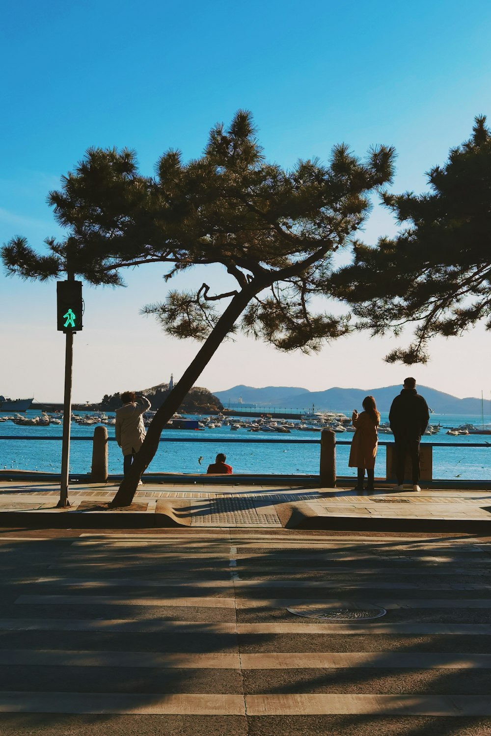 a group of people standing on a sidewalk next to a tree