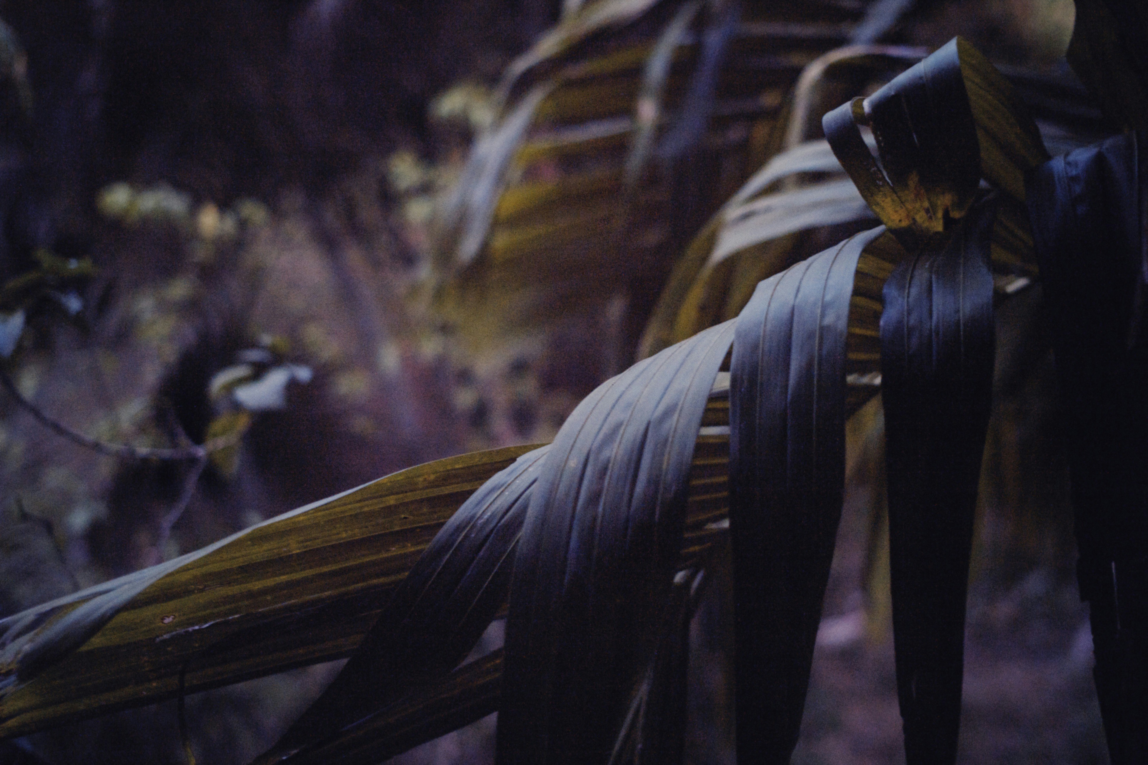 Photo by alexeydemidov