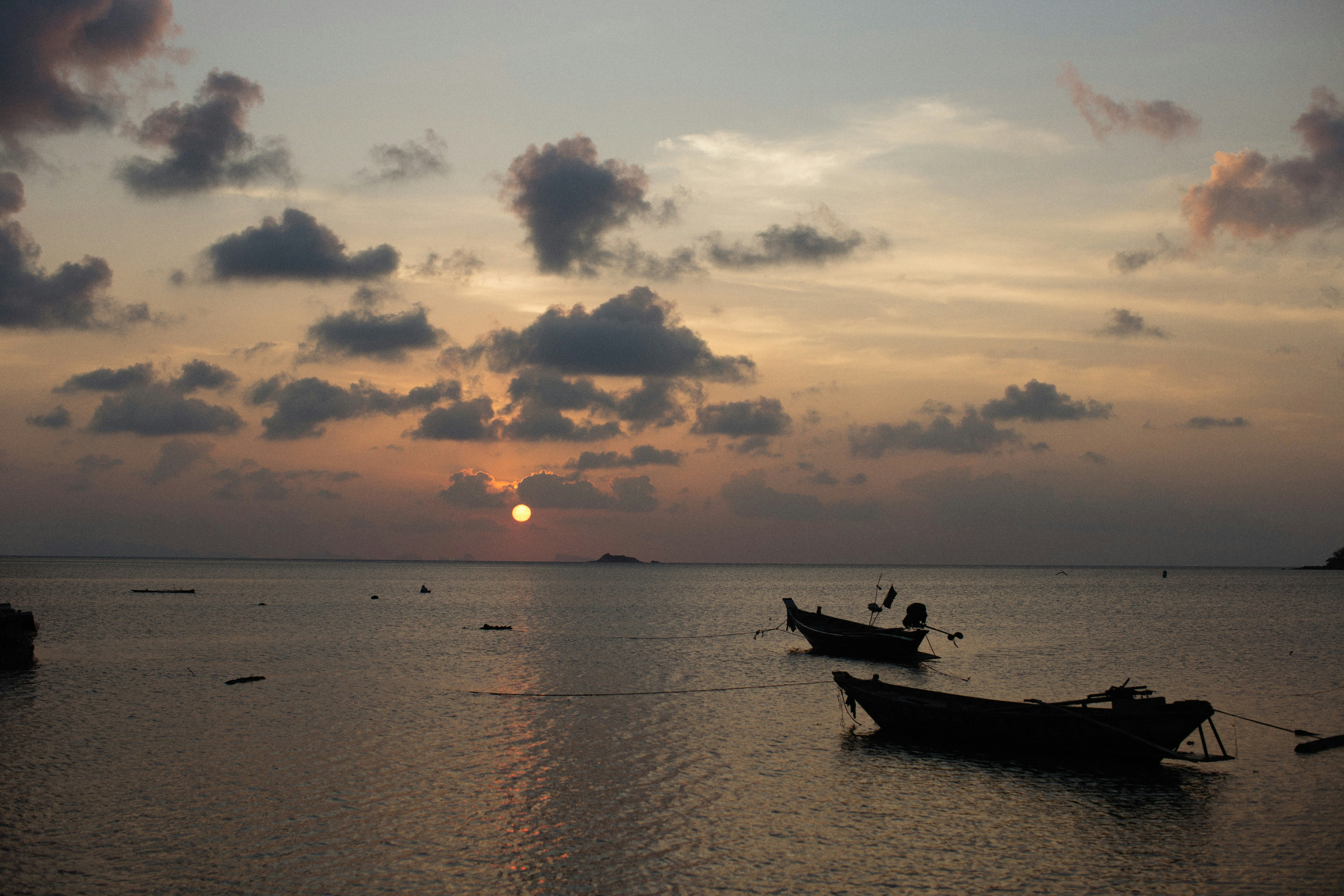 Photo by alexeydemidov