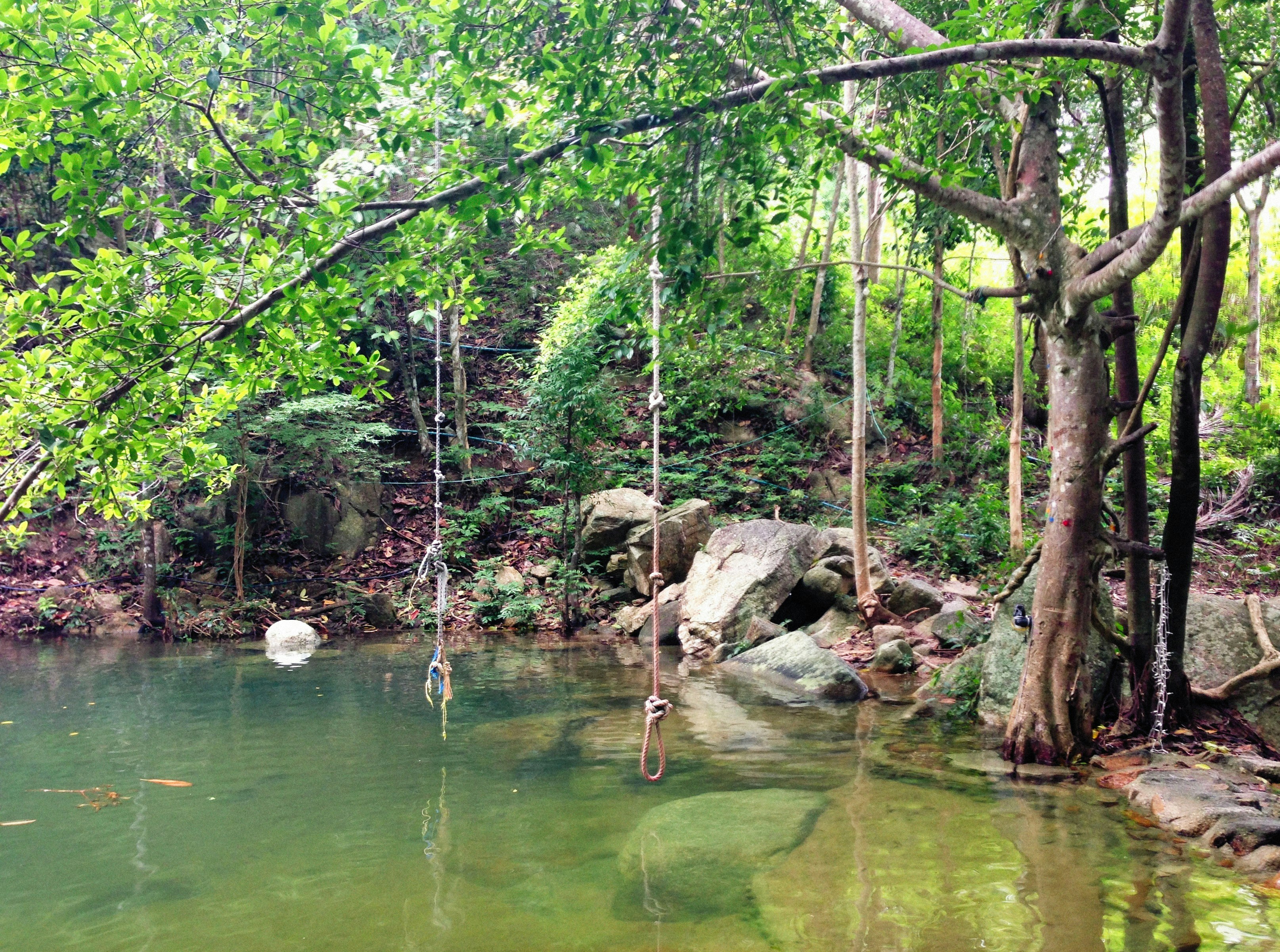 Photo by alexeydemidov