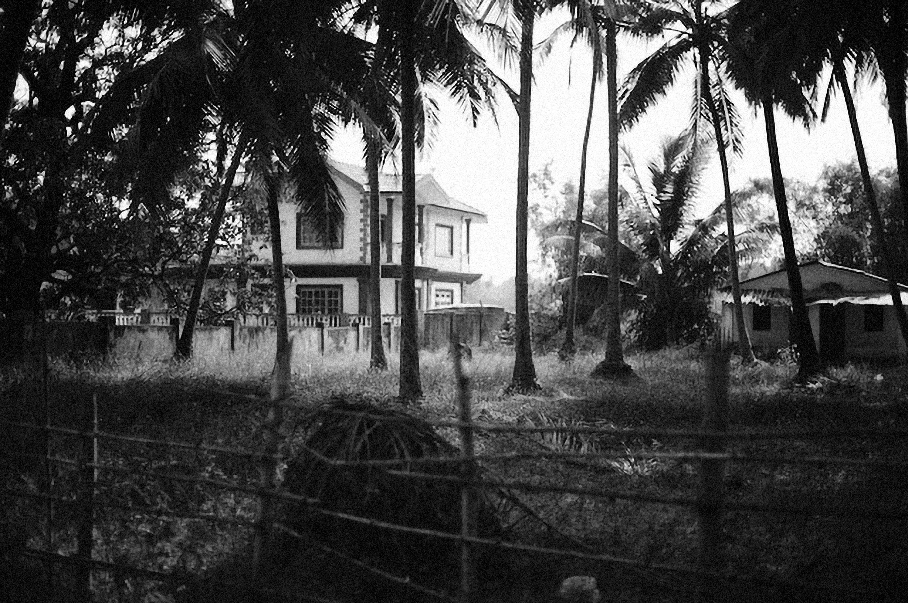 Photo by alexeydemidov