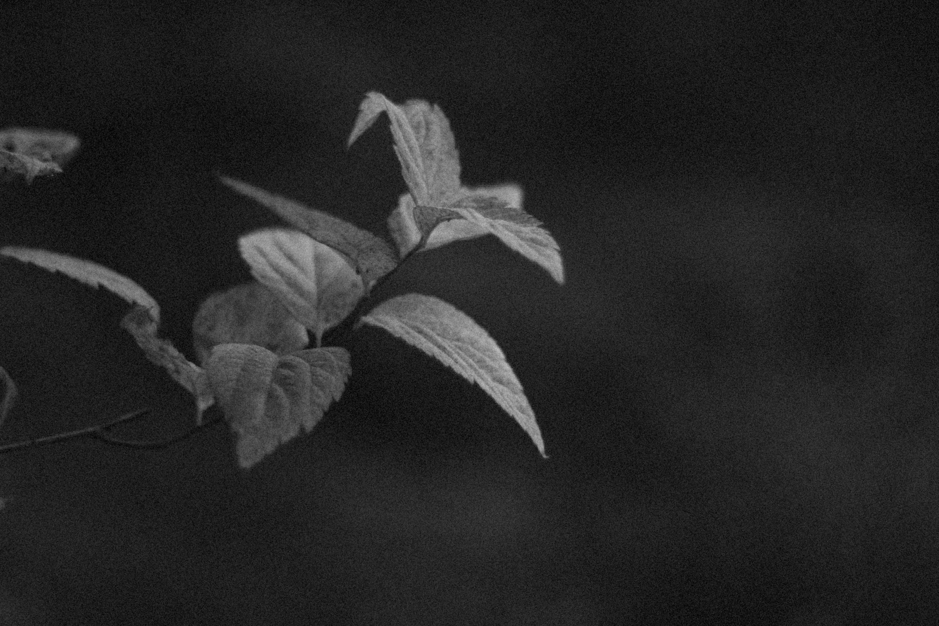 Photo by alexeydemidov