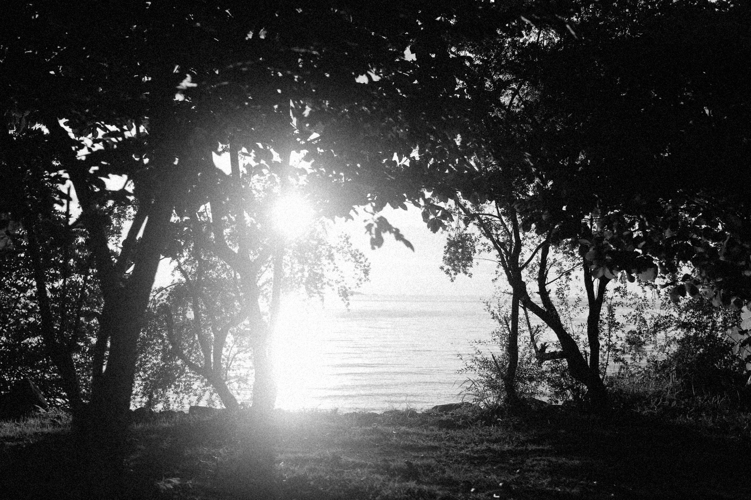 Photo by alexeydemidov