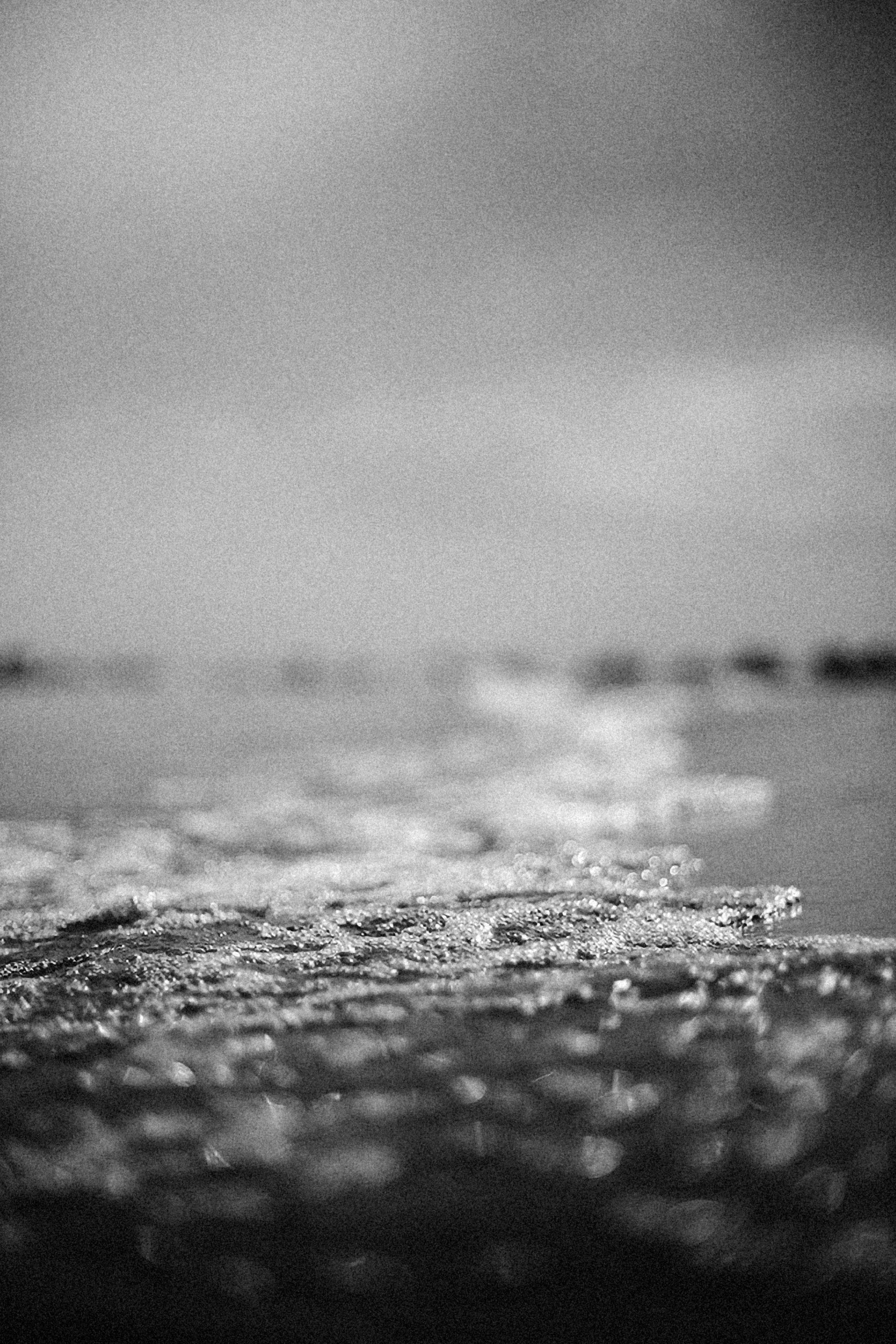 Photo by alexeydemidov